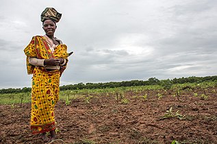 Moçambique